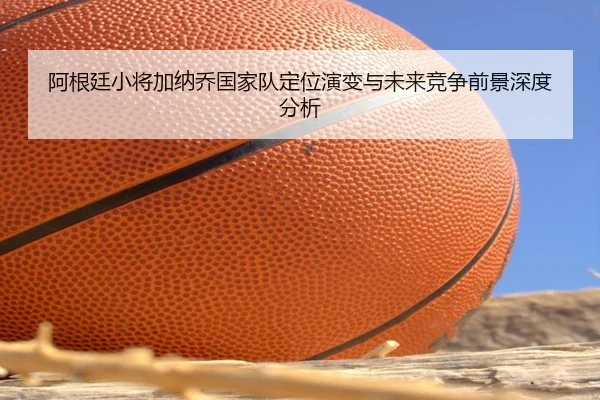 阿根廷小将加纳乔国家队定位演变与未来竞争前景深度分析